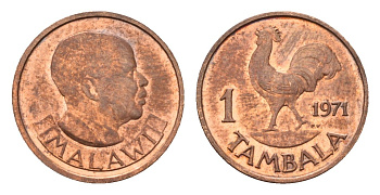 Малави 1 тамбала 1971 петух KM 7.1 бронза UNC 4640-459